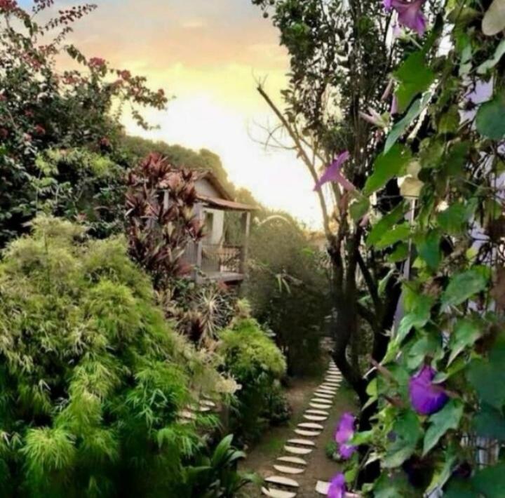 Pousada Trilha Violeta São Jorge Exterior foto